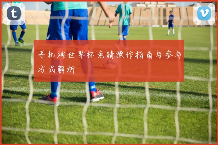 手机端世界杯竞猜操作指南与参与方式解析
